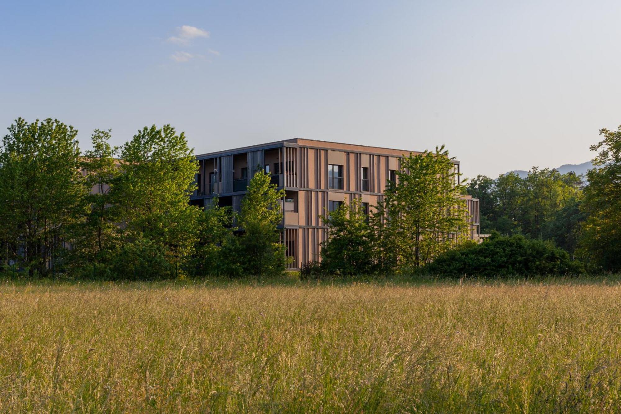 The Nest Apartment Bled Centre Exterior foto
